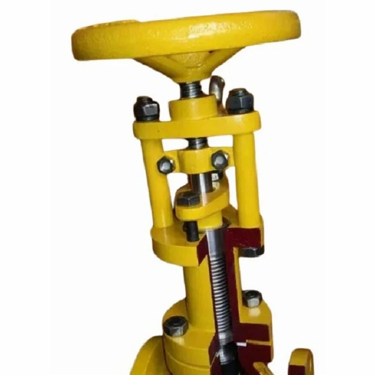 Adjustable Flat Gate Valve